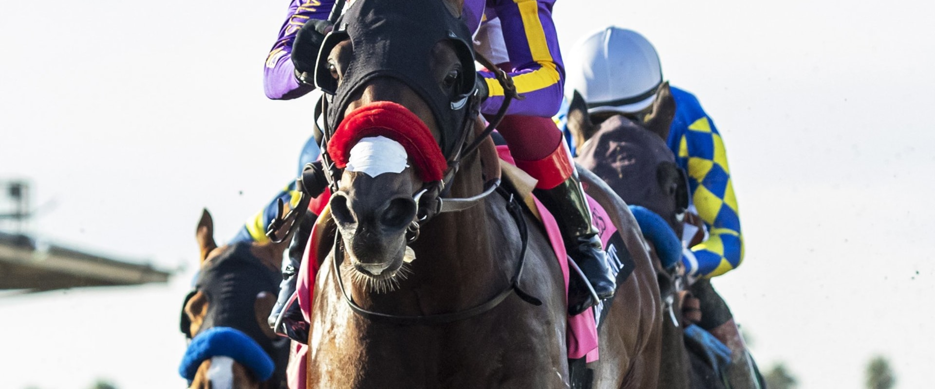 All You Need to Know About Preakness Stakes: A Guide to Caroline Bailey Racing