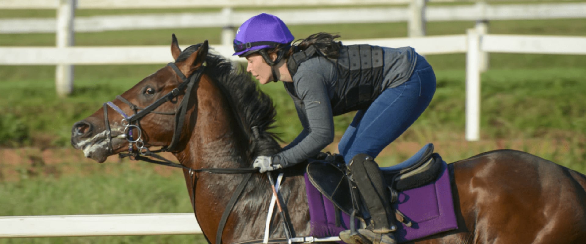 Understanding Training Methods and Philosophies in Horse Racing