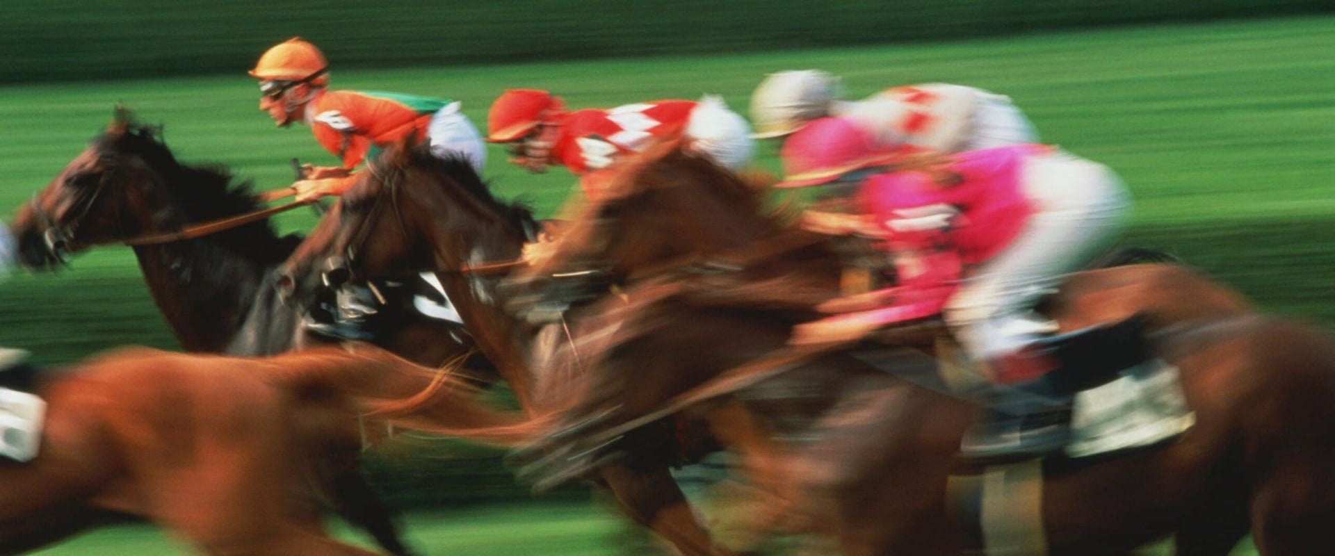 The Importance of Bloodlines in Horse Racing