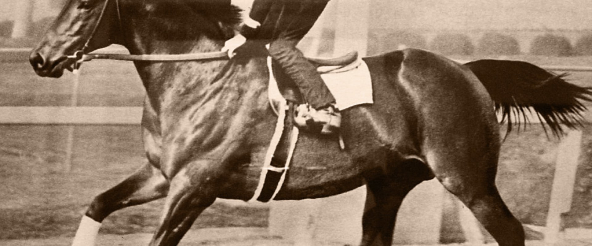 The Inspiring Story of Seabiscuit: A Legend in Horse Racing