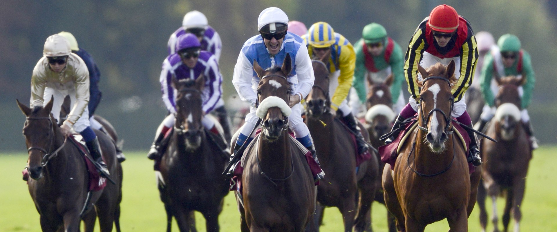 The Use of Performance-Enhancing Drugs in Horse Racing