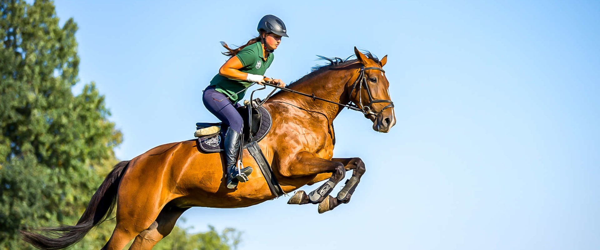 Exploring the Thrilling World of Show Jumping