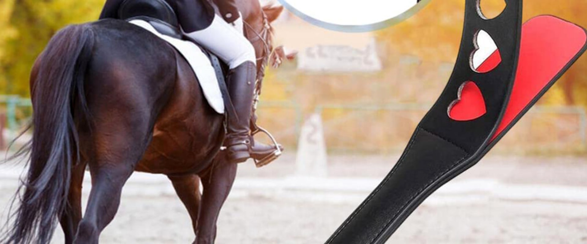 Training Aids for Horse Racing and Equestrian Sports