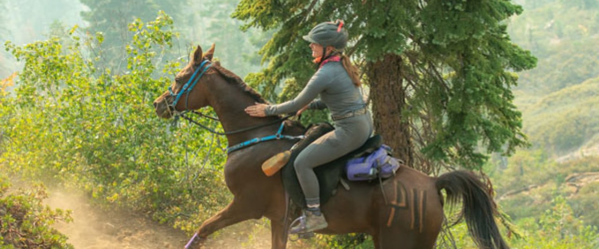 All You Need to Know About Endurance Riding