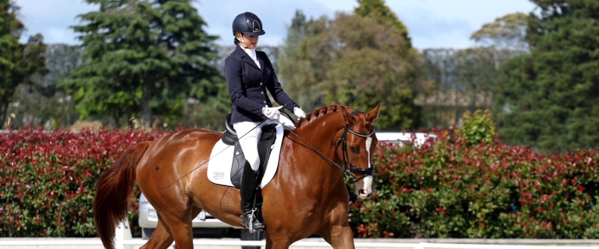 A Comprehensive Look at Dressage in the World of Equestrian Sports