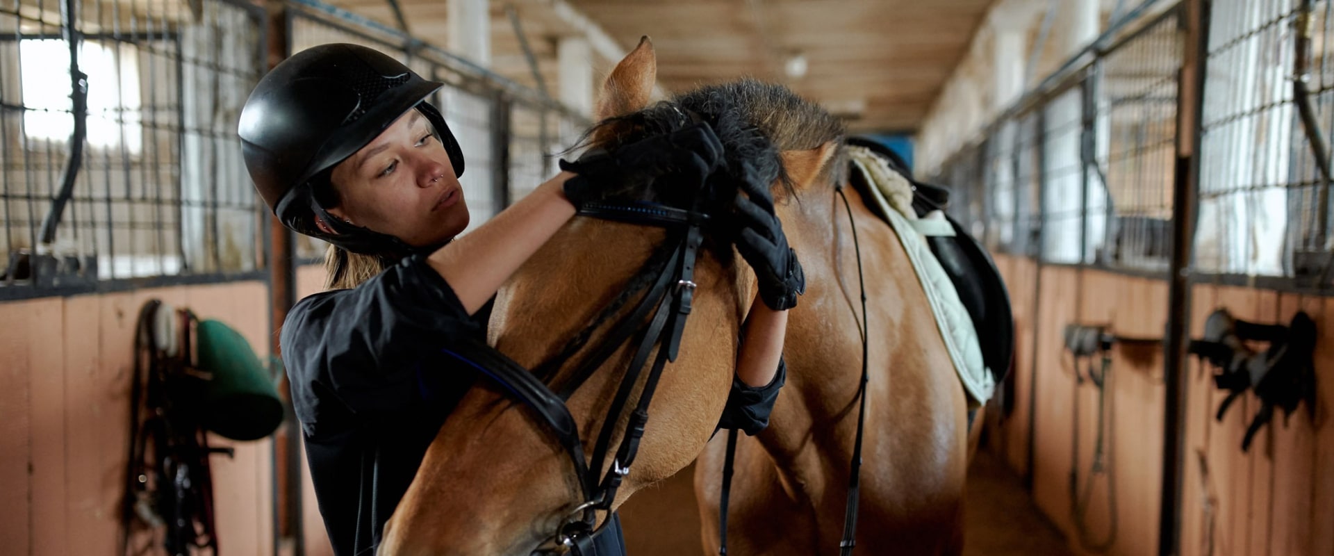 All About Saddles and Bridles: A Comprehensive Guide to Horseback Riding and Training Equipment