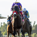 All You Need to Know About Preakness Stakes: A Guide to Caroline Bailey Racing