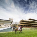 The Prix de l'Arc de Triomphe: A Guide to the Prestigious Horse Racing Event