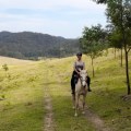 The Exciting World of Horseback Camping: Everything You Need to Know