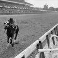 All About Secretariat: The Legendary Racehorse