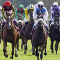 The Use of Performance-Enhancing Drugs in Horse Racing