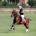 Polo: The Exciting World of Horse Racing and Equestrian Sports