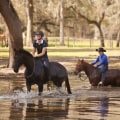 The Parelli Method: A Comprehensive Guide to Horseback Riding and Training