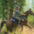 All You Need to Know About Endurance Riding