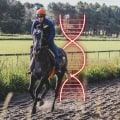 The Role of Genetic Testing in Racehorse Breeding