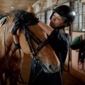 All About Saddles and Bridles: A Comprehensive Guide to Horseback Riding and Training Equipment