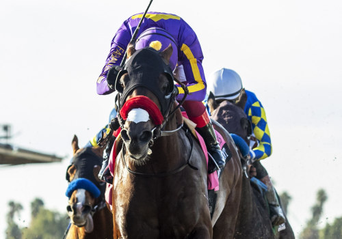 All You Need to Know About Preakness Stakes: A Guide to Caroline Bailey Racing