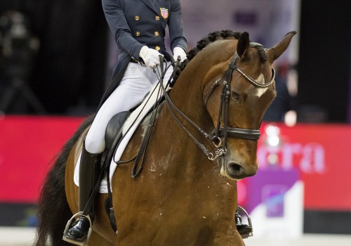 The Exciting World of Dressage