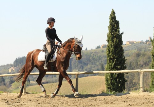 Exploring the World of English Riding