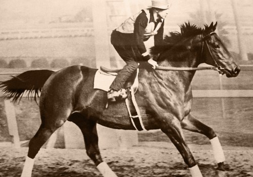 The Inspiring Story of Seabiscuit: A Legend in Horse Racing