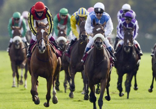 The Use of Performance-Enhancing Drugs in Horse Racing