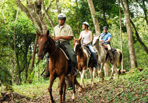 Exploring the Excitement of Trail Riding