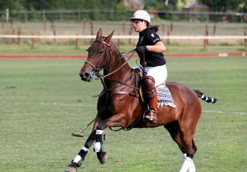 Polo: The Exciting World of Horse Racing and Equestrian Sports