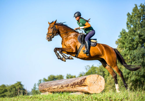 Exploring the Thrilling World of Show Jumping