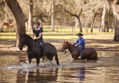 The Parelli Method: A Comprehensive Guide to Horseback Riding and Training