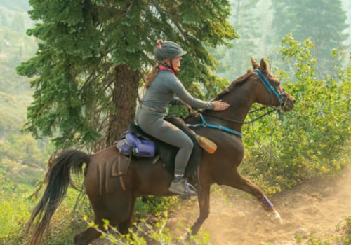 All You Need to Know About Endurance Riding