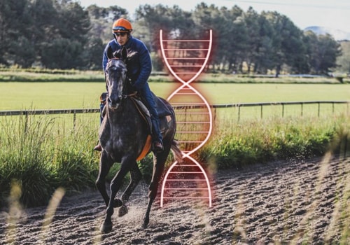 The Role of Genetic Testing in Racehorse Breeding