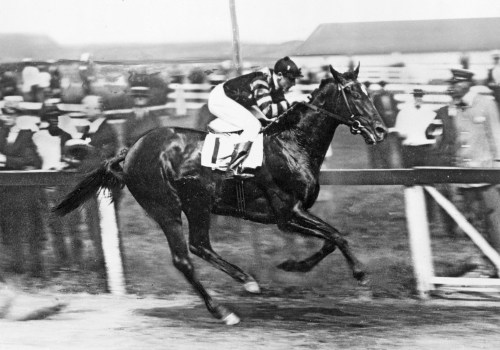 All About Man o' War: The Legendary Racehorse