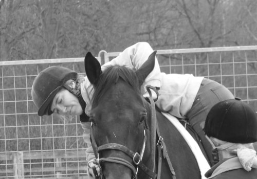 Exploring the World of Natural Horsemanship