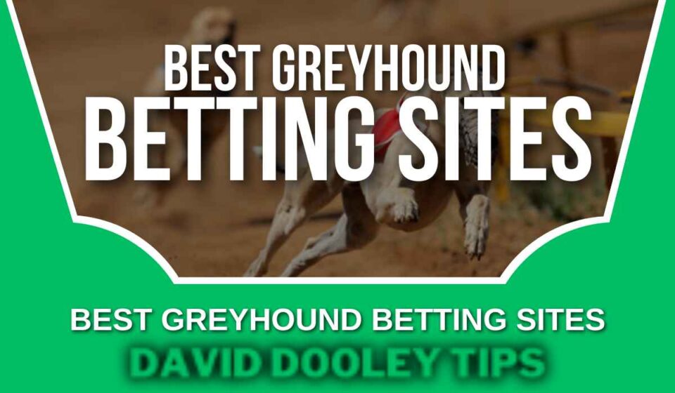 Best Greyhound Betting Sites