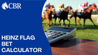 Heinz Flag Bet Calculator