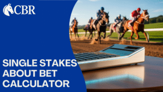 Single Stakes About Bet Calculator