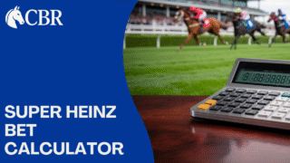 Super Heinz Bet Calculator